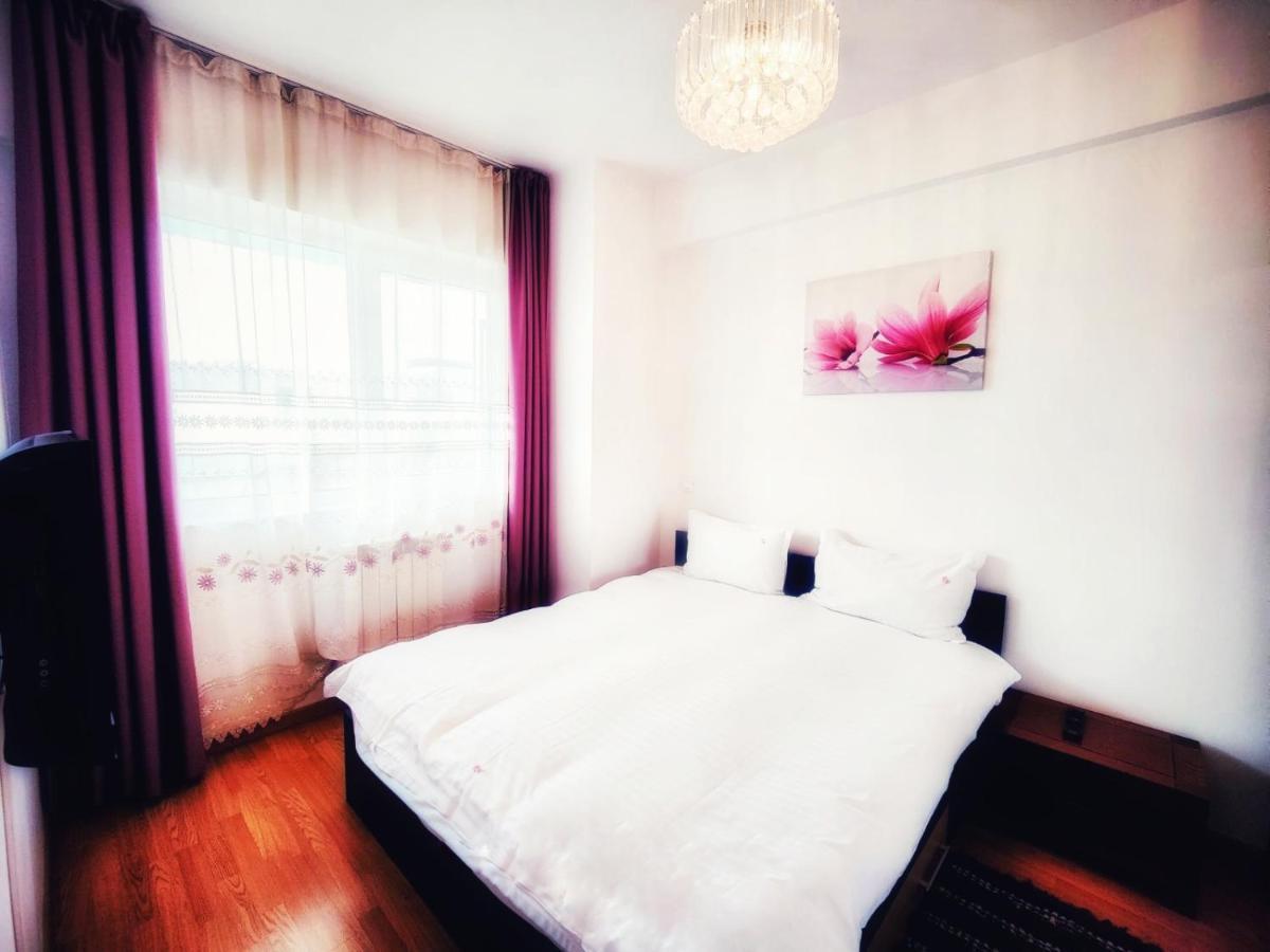 公寓 Business Cluj-Napoca