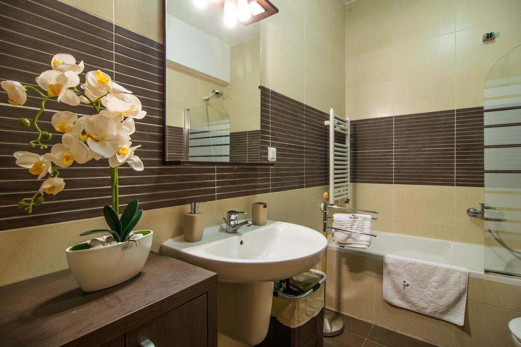 Business 公寓 Cluj-Napoca